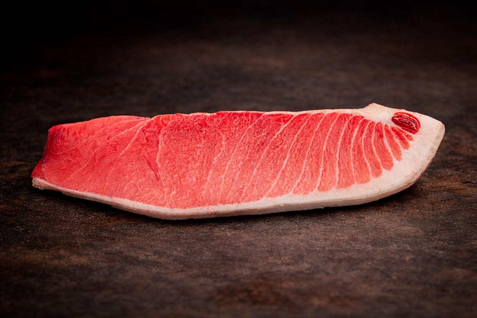 A marbled piece of Cro-Toro, otoro from wild Adriatic bluefin tuna