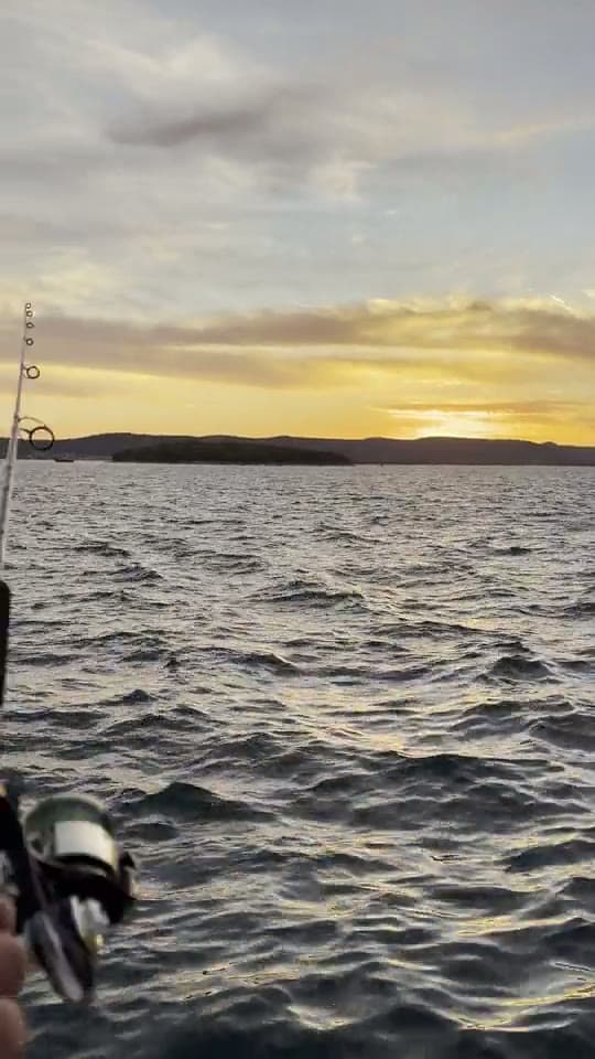 A fishing rod held out over the Adriatic at sunset